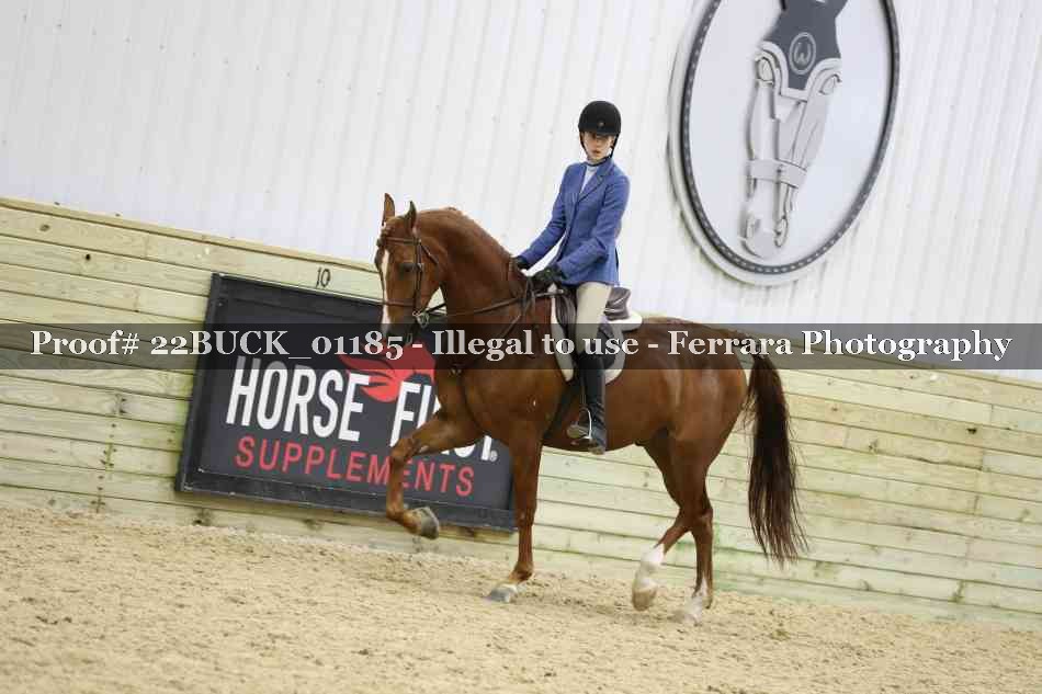 Proof 22BUCK_01185