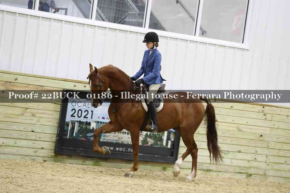 Proof 22BUCK_01186