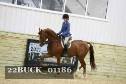 22BUCK_01186 proof
