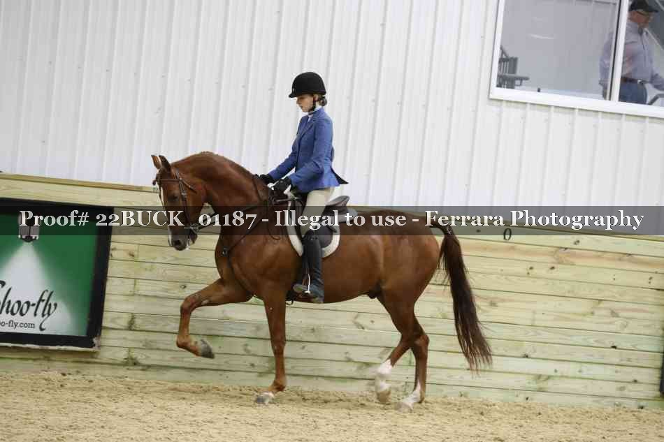 Proof 22BUCK_01187