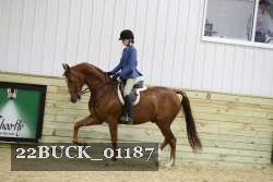 22BUCK_01187 proof