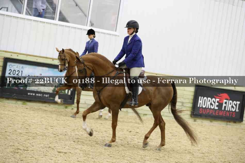 Proof 22BUCK_01188