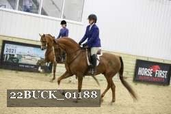 22BUCK_01188 proof