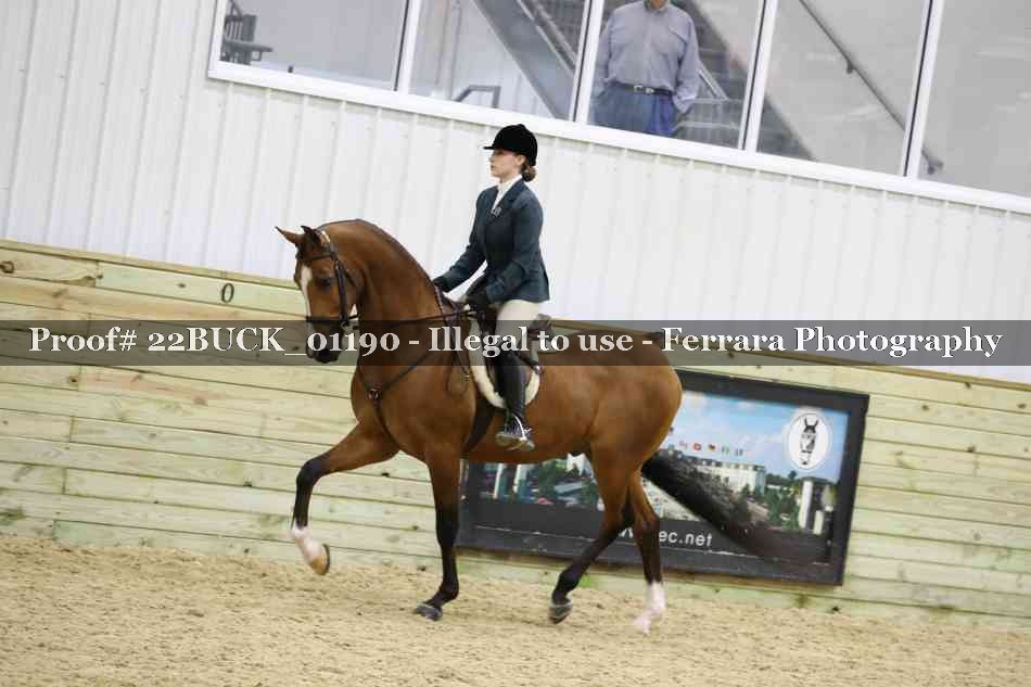 Proof 22BUCK_01190