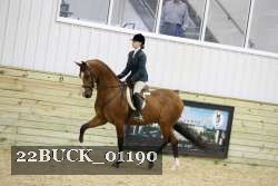 22BUCK_01190 proof