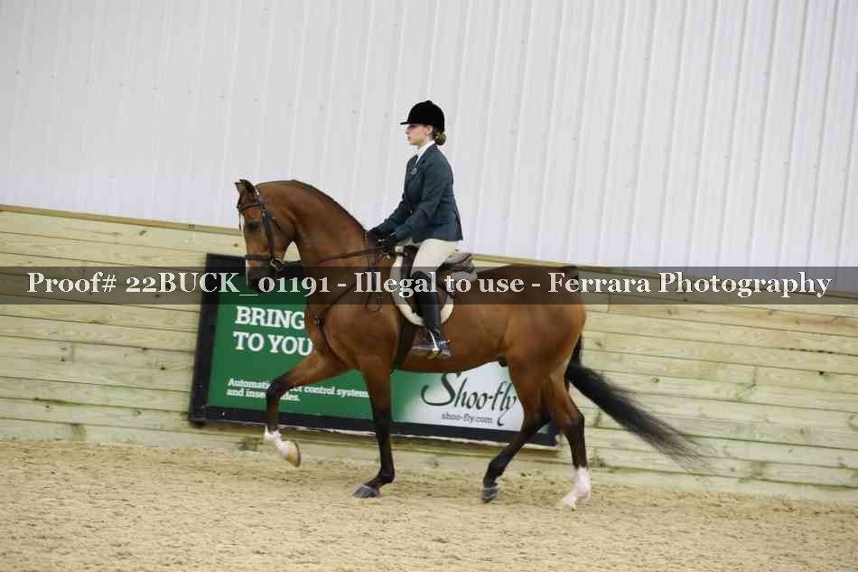 Proof 22BUCK_01191