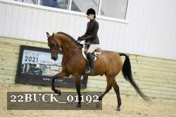 22BUCK_01192 proof