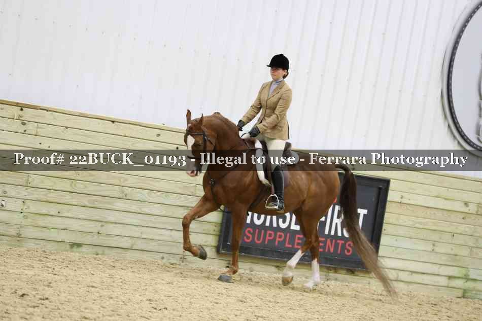 Proof 22BUCK_01193