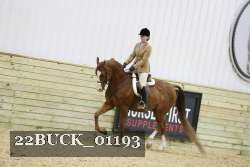 22BUCK_01193 proof