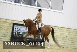 22BUCK_01194 proof