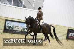 22BUCK_01196 proof