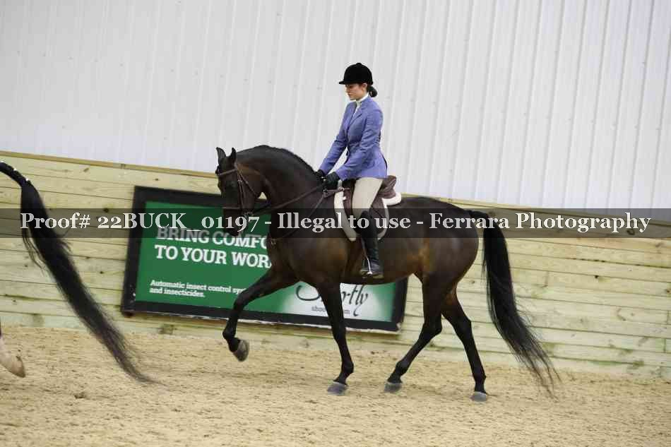 Proof 22BUCK_01197