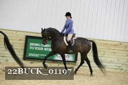 22BUCK_01197 proof