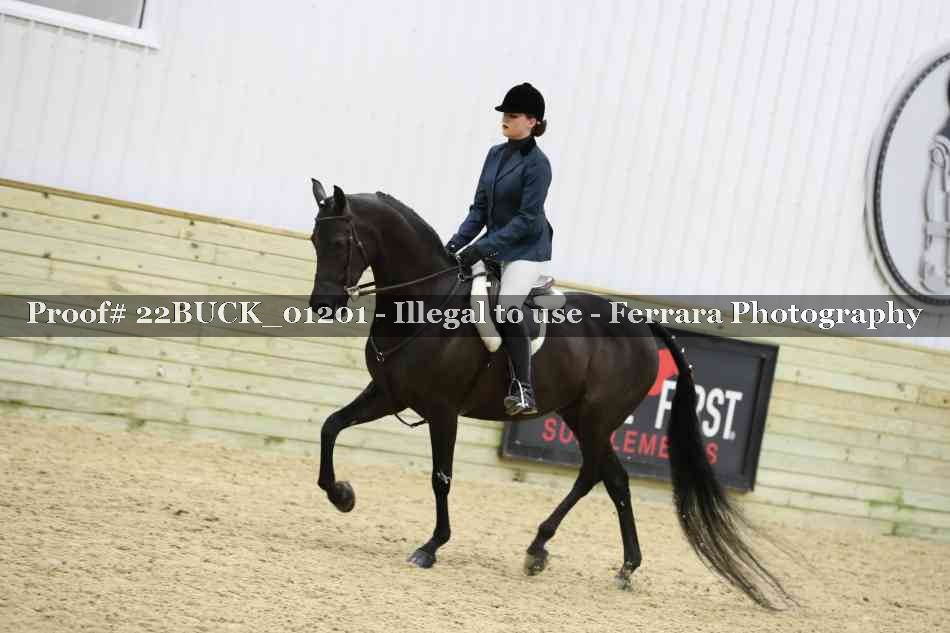 Proof 22BUCK_01201