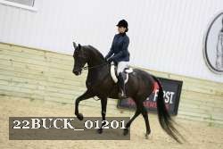 22BUCK_01201 proof
