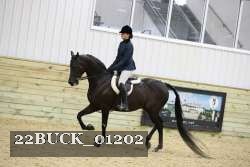 22BUCK_01202 proof