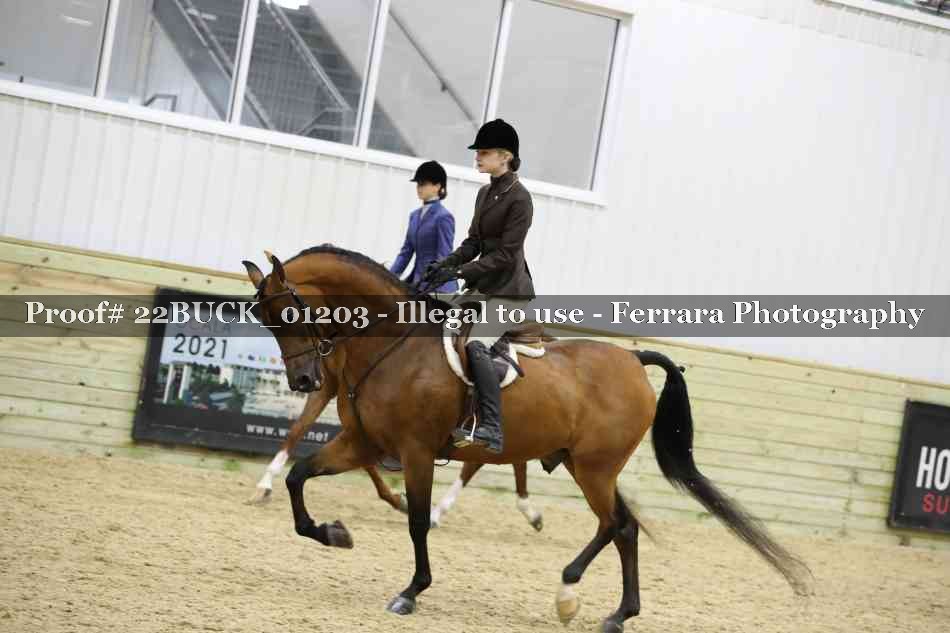 Proof 22BUCK_01203