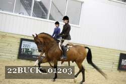 22BUCK_01203 proof