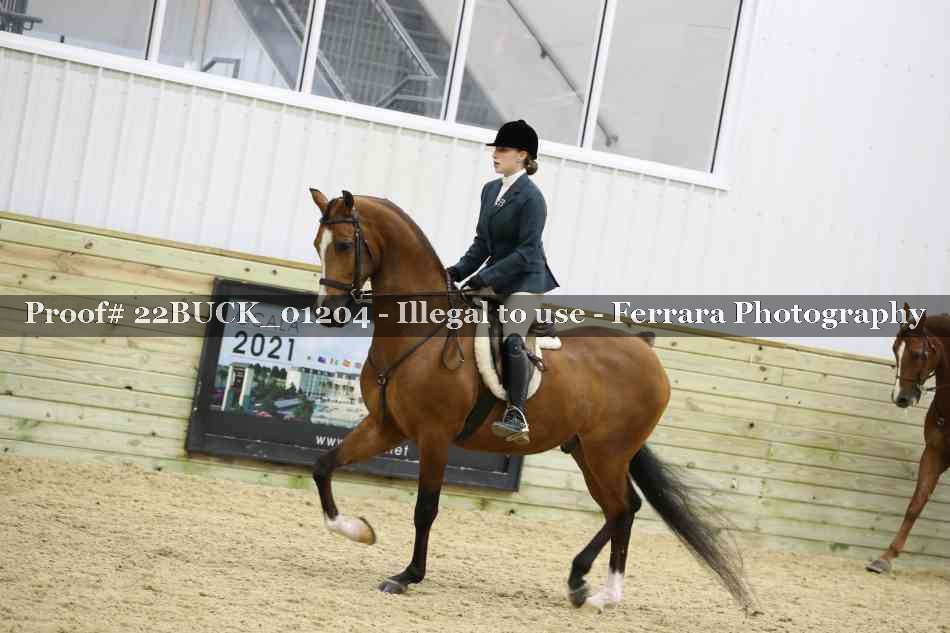 Proof 22BUCK_01204
