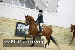 22BUCK_01204 proof