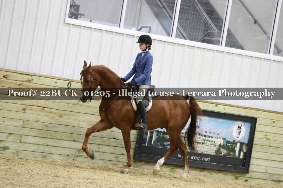 Proof 22BUCK_01205