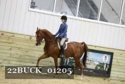 22BUCK_01205 proof