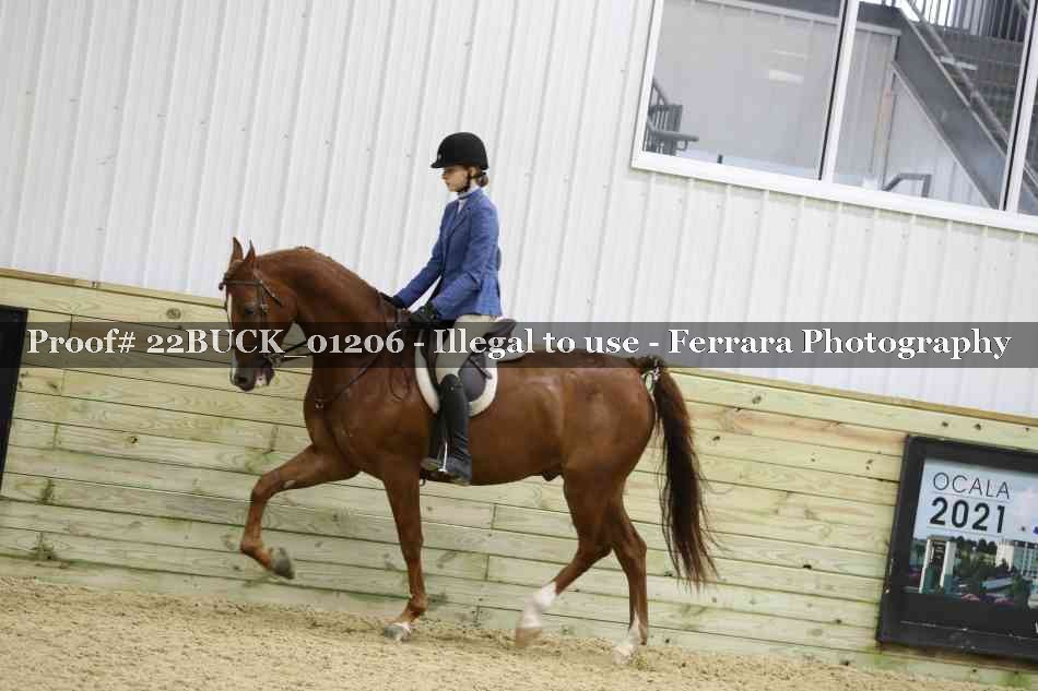 Proof 22BUCK_01206