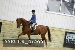 22BUCK_01206 proof
