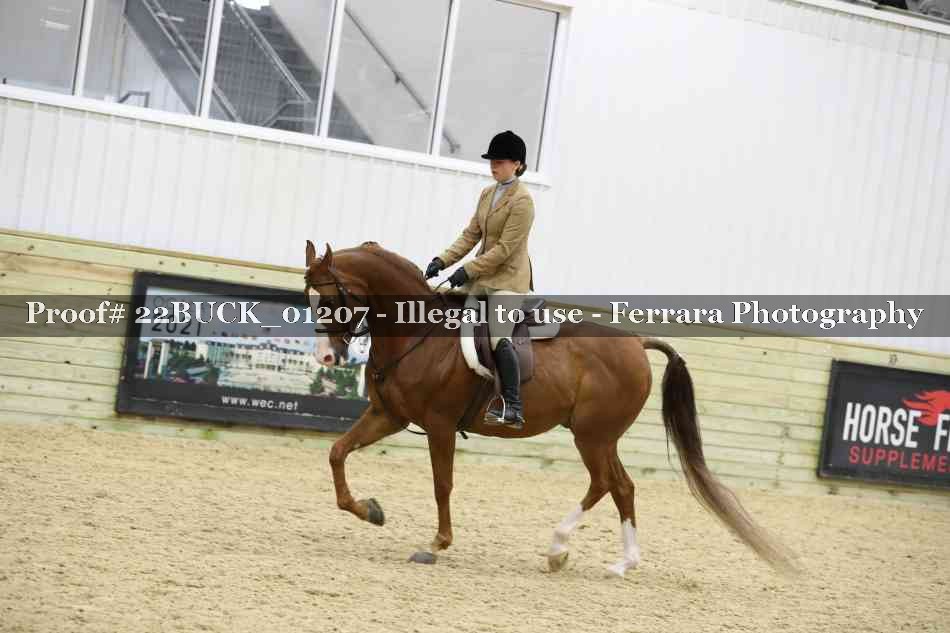Proof 22BUCK_01207