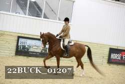 22BUCK_01207 proof