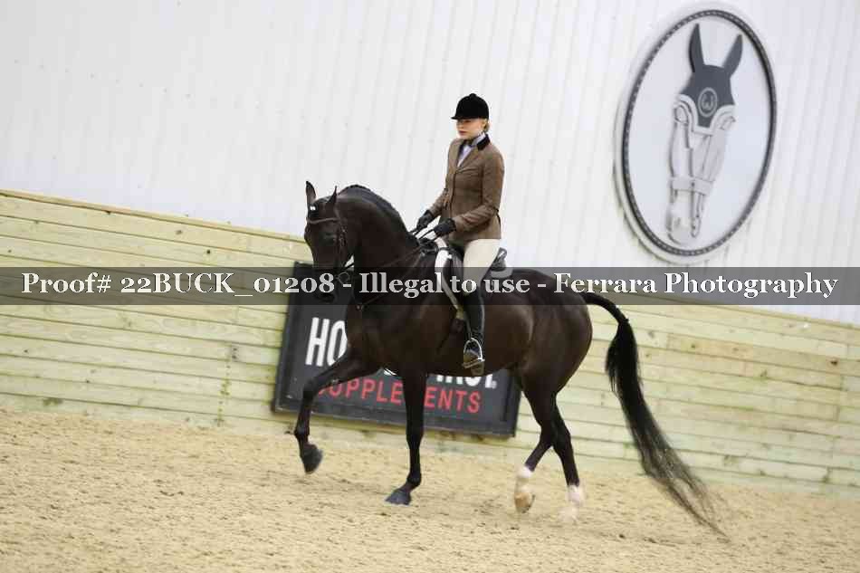 Proof 22BUCK_01208
