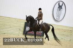22BUCK_01208 proof