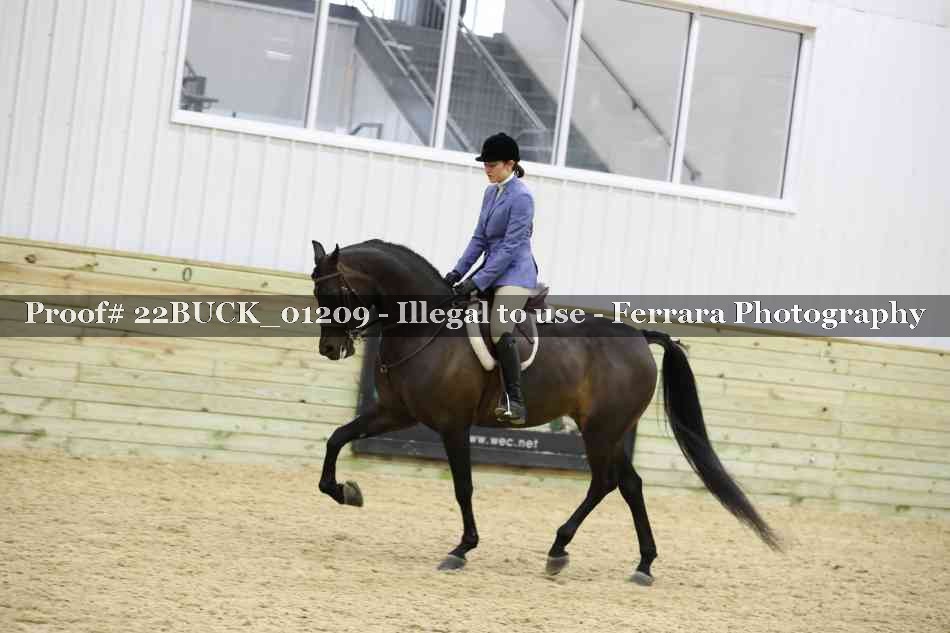 Proof 22BUCK_01209
