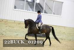 22BUCK_01209 proof