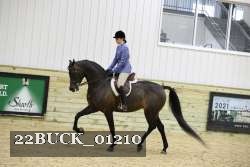 22BUCK_01210 proof