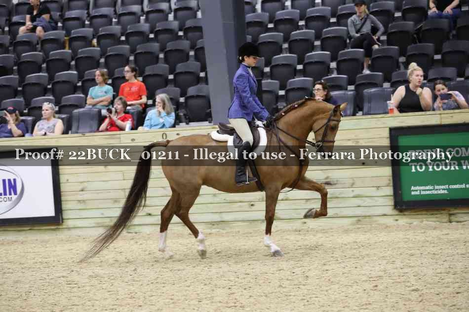 Proof 22BUCK_01211