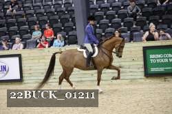 22BUCK_01211 proof