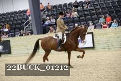 22BUCK_01212 proof
