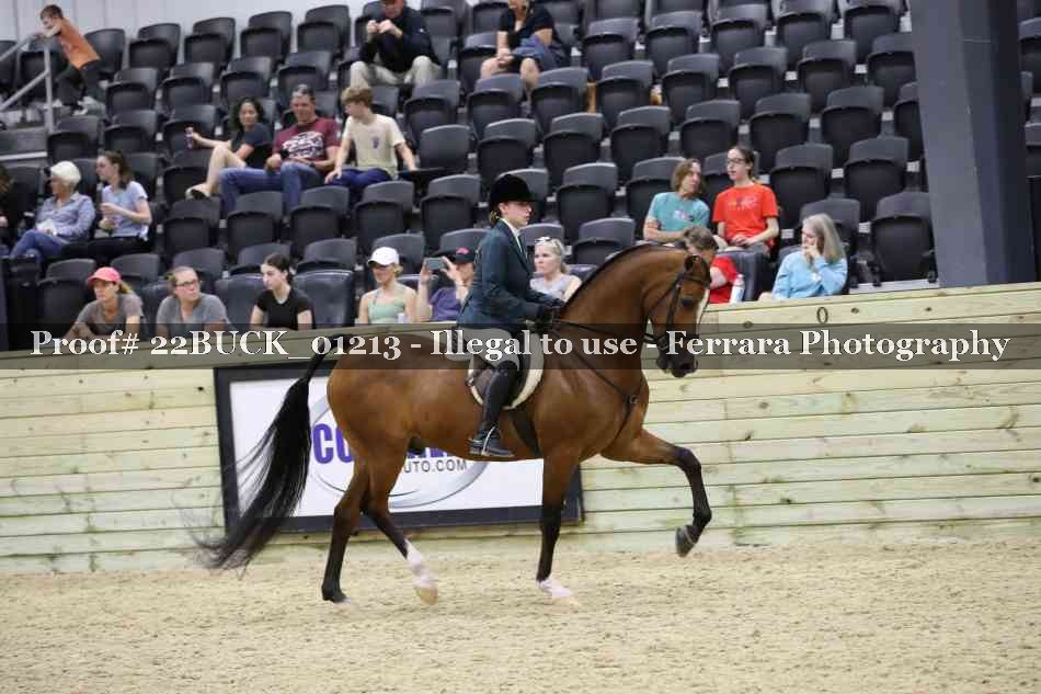 Proof 22BUCK_01213