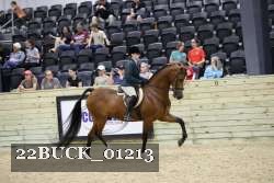 22BUCK_01213 proof