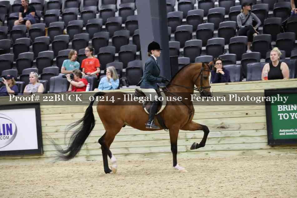 Proof 22BUCK_01214