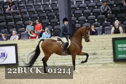 22BUCK_01214 proof