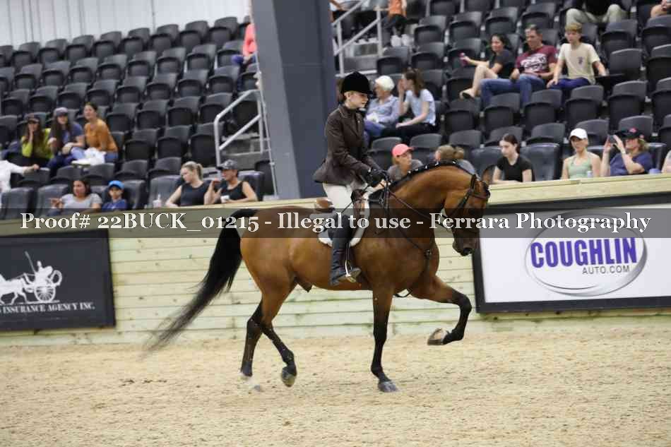 Proof 22BUCK_01215