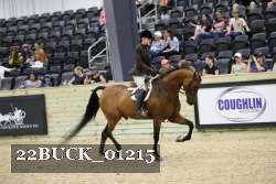 22BUCK_01215 proof
