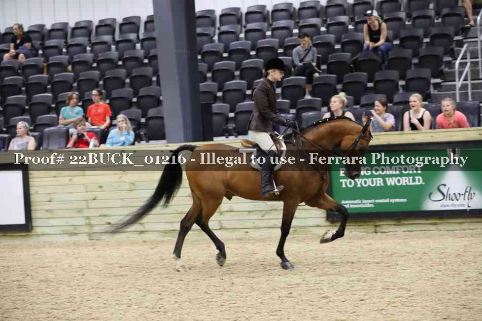 Proof 22BUCK_01216
