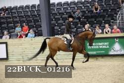 22BUCK_01216 proof