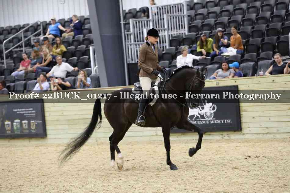 Proof 22BUCK_01217