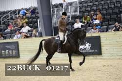 22BUCK_01217 proof