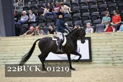 22BUCK_01219 proof