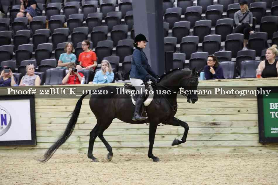 Proof 22BUCK_01220
